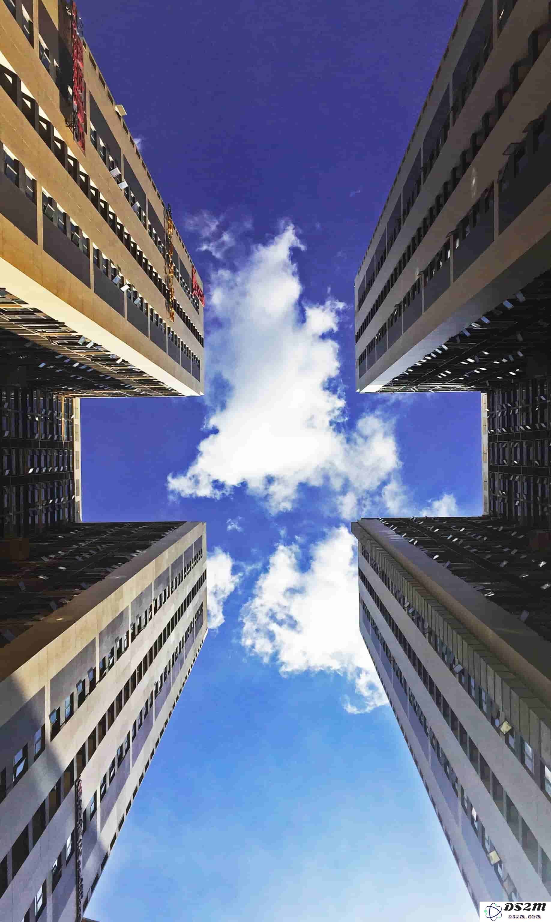 蜂王秘籍：在《我的世界》中漫游现实与虚幻的交汇点