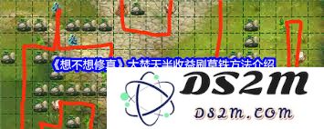 在想不想修真大焚天中如何有效提升刷草铁收益的最佳策略与技巧