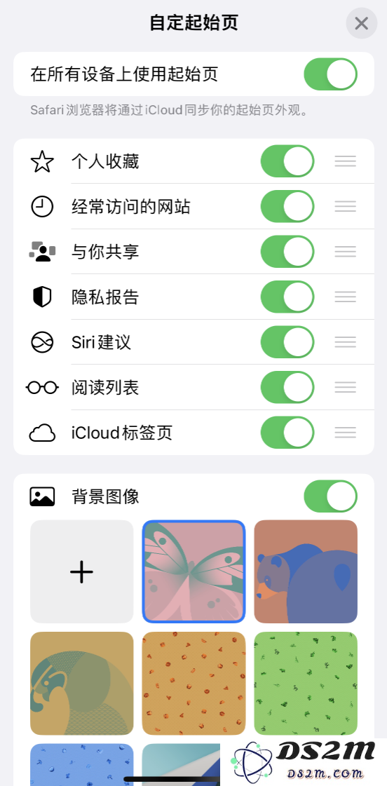 苹果 iPhone 14 系列机型如何自定义浏览器设置？
