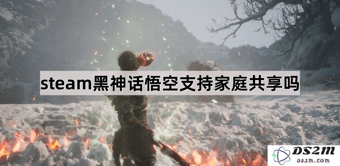 steam黑神话悟空是否能够支持家庭共享功能？用户该如何操作？