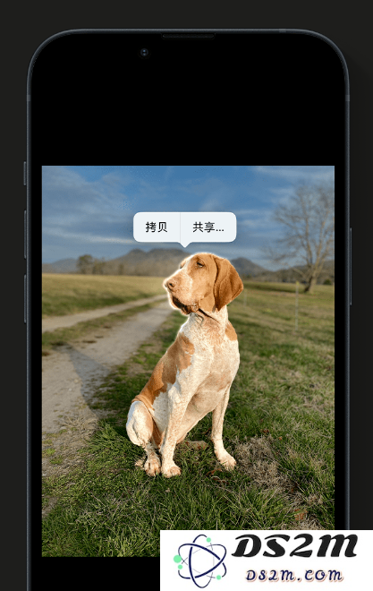 苹果官方推荐体验这些 iOS 16 新功能：精彩锁屏、一键抠图、实况文本等