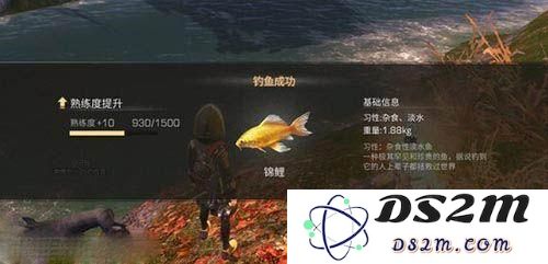 明日之后锦鲤的最佳钓鱼饵料和推荐钓竿是什么？