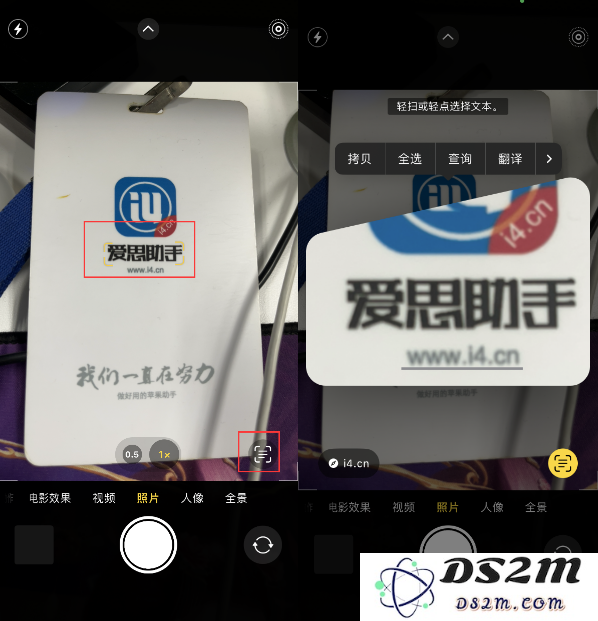 在升级到iOS 16后，如何利用相机功能快速翻译现场文本？