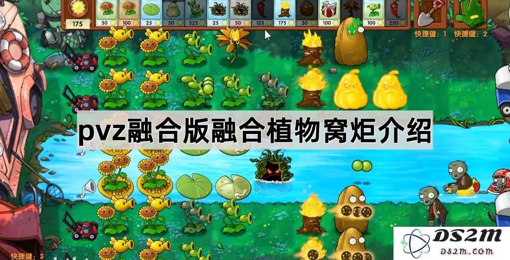 《植物大战僵尸融合版》植物窝炬特色功能详解与使用技巧