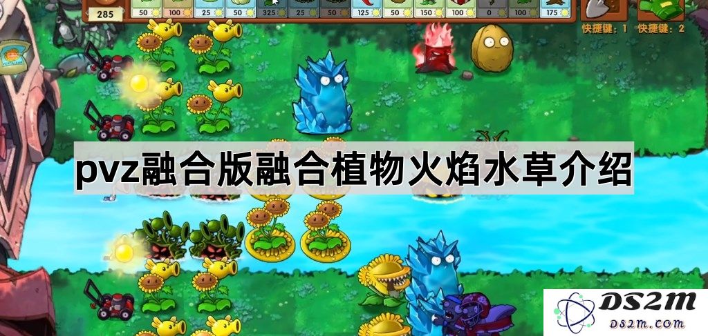 《植物大战僵尸融合版》中的火焰、水草植物融合特点详细解析