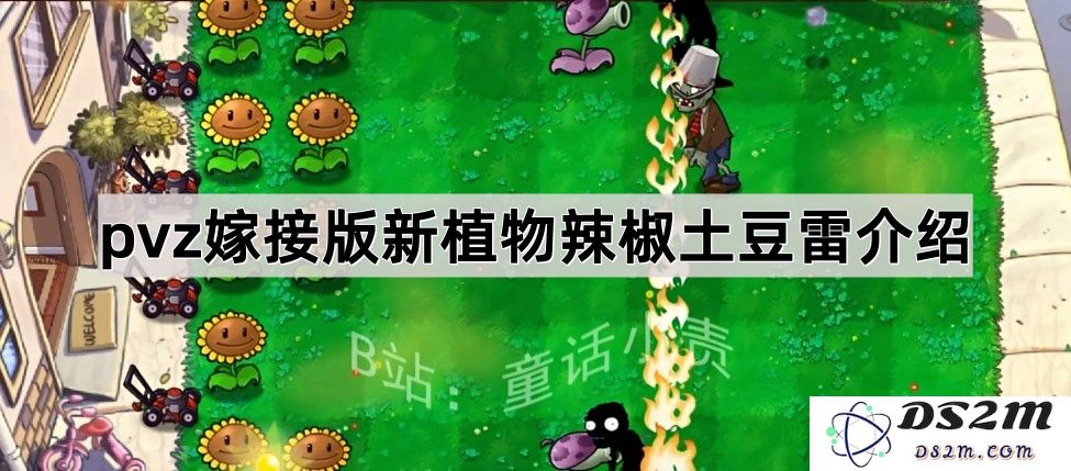 《植物大战僵尸嫁接版》全新植物介绍：辣椒和土豆雷的独特技能解析与策略应用