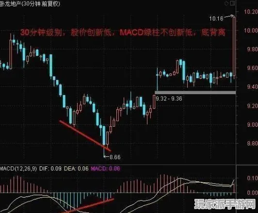 ｜2025｜新手必读 全面解析｜2025年04月 热门238平米虚拟地产地块攻略与投资技巧