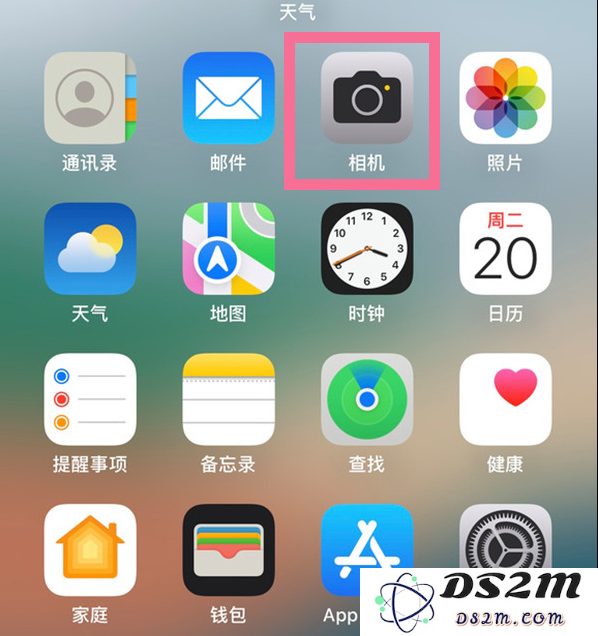 掌握iPhone 14 Pro实况照片拍摄技巧的全面指南与实用建议