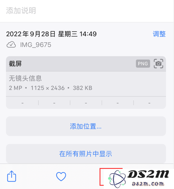 5 个 iPhone 小技巧：让拍摄和编辑照片更轻松