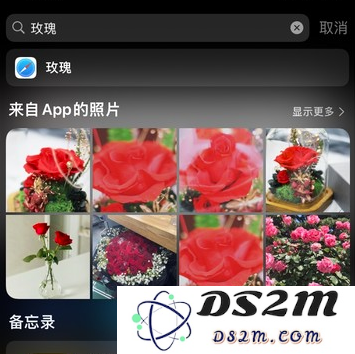 5 个 iPhone 小技巧：让拍摄和编辑照片更轻松