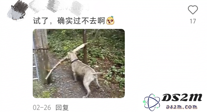 一手实测！文心X1/4.5 Turbo推理和多模态双双变强，还把模型成本降了6成？！