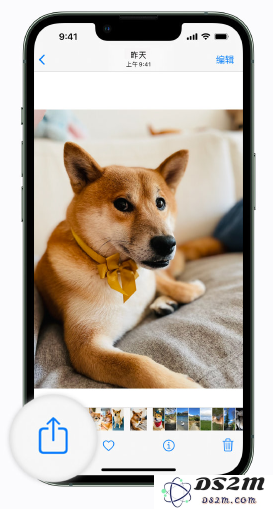iPhone 用户必看：在分享照片时务必调整隐私设置以保护个人信息