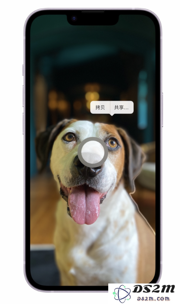 苹果官方精选：iOS 16 最实用的 5 个新功能