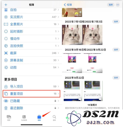 如何在 iOS 16 中使用相册的重复项目功能进行照片整理和管理