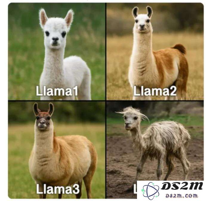 应激的Llama，开源的困局