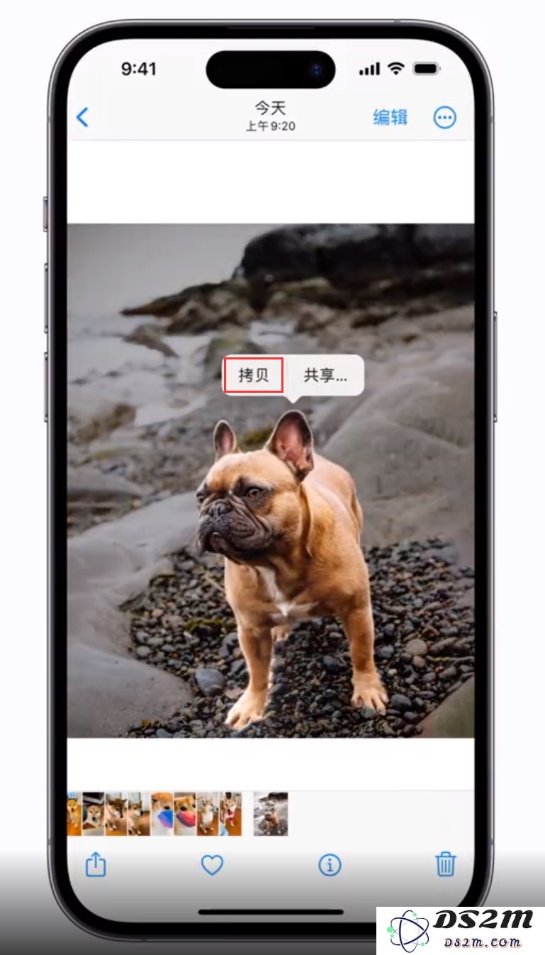 探索苹果 iOS 16 新增的一键抠图功能，看看如何简单使用这项实用工具