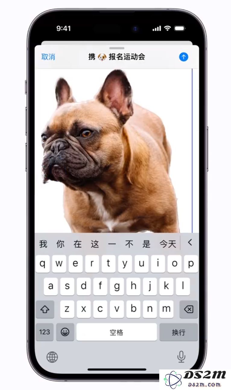 苹果 iOS 16 自带一键抠图功能，来看看怎么用