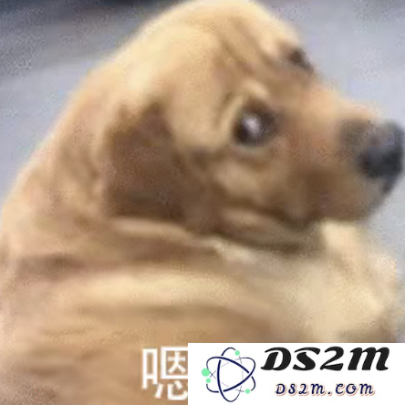 最新实测！文心4.5T/X1T双卷王登场效果惊人，骨折价卷到DeepSeek