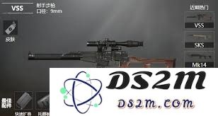 和平精英全套步枪分析图鉴，详细解读射手步枪的性能与使用技巧