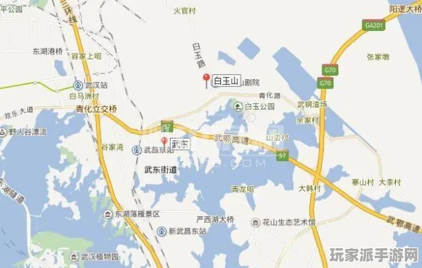 最新动态｜咸鱼之王隐藏关卡秘笈 星推｜2025年04月全新攻略大揭秘