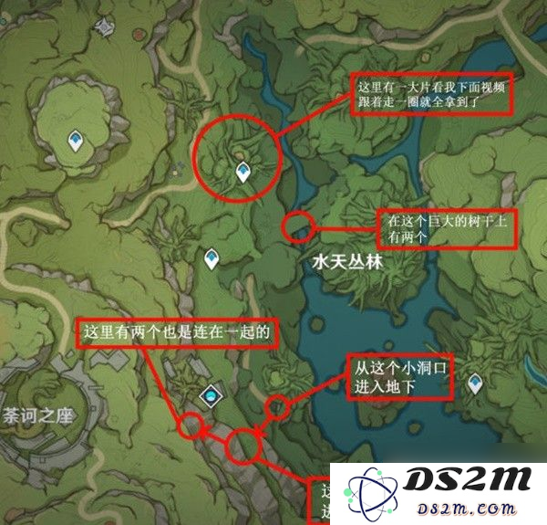 原神树王胜体菇位置