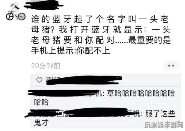 ·突发｜解析 庄园小鸡能量保护 爆款｜2025年04月攻略