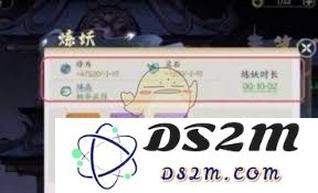 掌门出山后如何有效提升实力与修为，快速达到更高境界