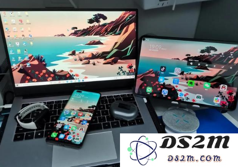 为何iPad的屏幕面积更大但售价却低于iPhone？这个价格差异背后的原因是什么？