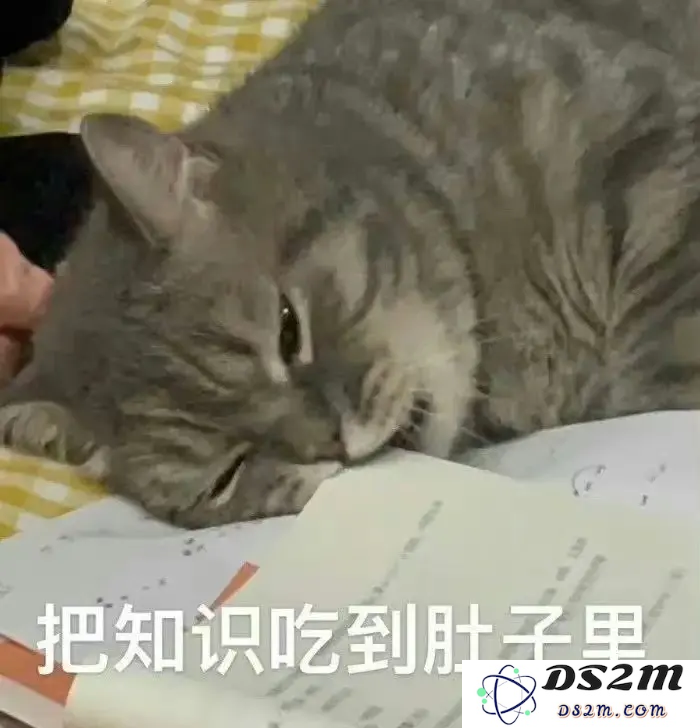 英伟达H20不让用？全国产算力深度推理模型讯飞星火X1升级，4张华为910B即可部署满血版