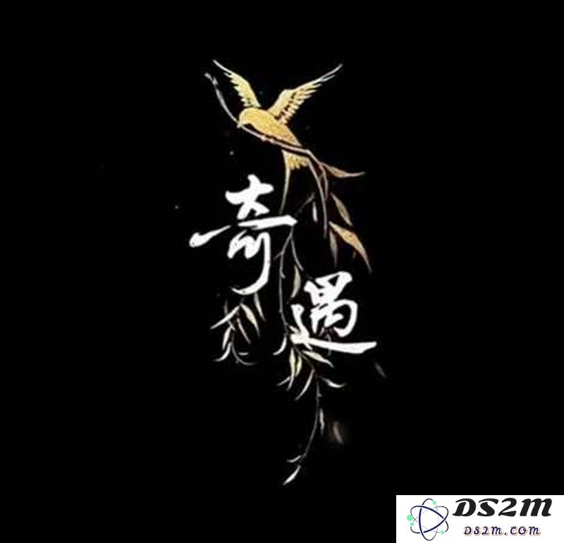 燕云快速查看任务指引 奇遇任务完成自查指引：如何高效完成任务操作？让生活更轻松！
