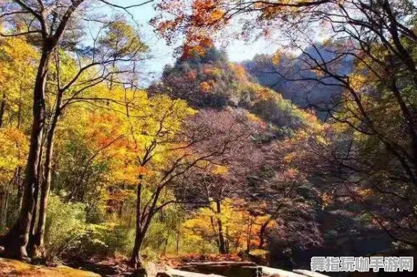 热修复补丁V1-体感交互全解析-抖音小游戏玩法攻略与技巧分享