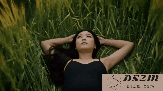 谷歌Veo 2震撼升级，一键get好莱坞级视觉盛宴！全网实测，帧帧丝滑