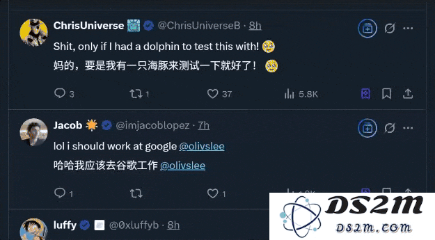 谷歌大模型成功解码海豚语言，DolphinGemma助力跨物种沟通，哈萨比斯展望：下一个目标是狗的交流方式