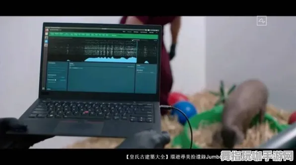 脑机接口2.0游戏-Windows全息版-实时更新-0428