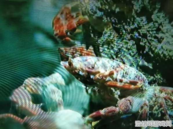 实测揭晓！全新手游攻略曝光，登录福利丰富多彩，蚂蚁森林道具兑换完全指南｜玩家必读避坑秘籍