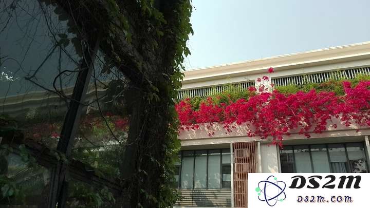 40元，我在闲鱼买到了最便宜的AI眼镜，真「便宜不是货」？
