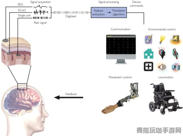 神经信号编码全流程-热修复补丁V3-元宇宙沙盒-脑机接口专用版