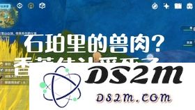 原神中的奇货品有哪些用途？如何在游戏中充分利用这些特殊物品提高战斗效率