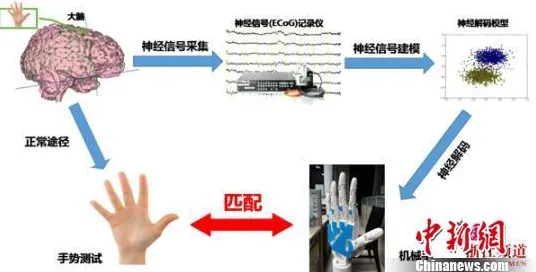 独特佳作推荐-2025年4月全新升级版-脑机接口专属体验-跨平台联机畅游