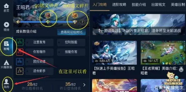 王者荣耀分路攻略2025｜新手必看解析｜v0425｜从青铜到王者的全方位制胜法则，五路运营技巧详解！
