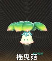 二重螺旋摇曳菇的使用效果与优势分析，值得尝试的产品推荐