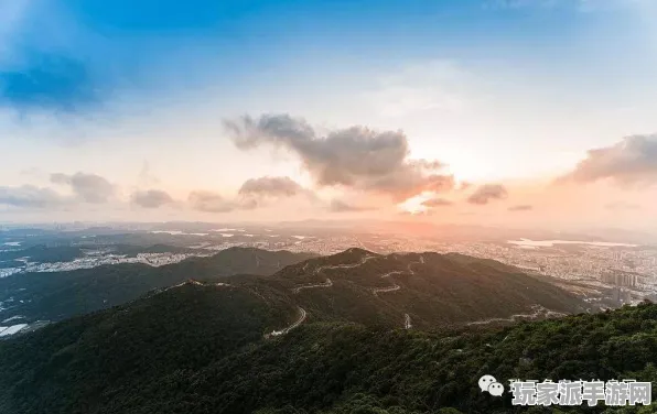 首度揭晓｜最新套路与游戏策略，0失误最新掌握｜周年庆特别攻略
