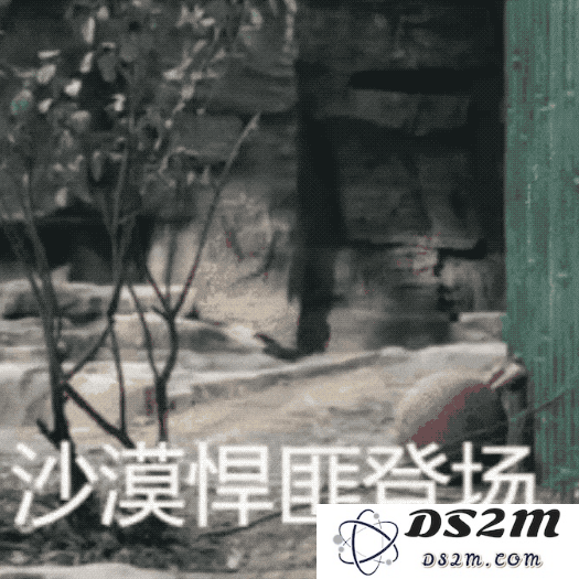 OpenAI推出首款硬件，令人期待的AI项链设计灵感来自乔布斯团队，优雅与简约如同iPod Shuffle