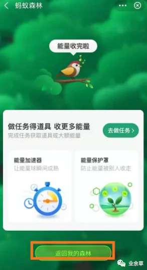 ▶2025｜攻略 蚂蚁森林能量保护 实测体验｜v0425｜从零起步打造属于你的绿色能量王国