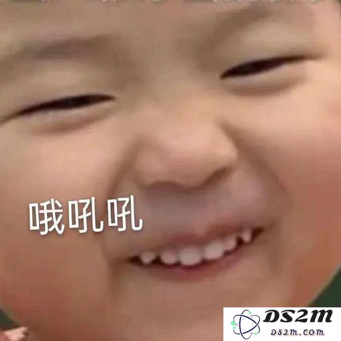 原神公子聪慧的眼神表情包合集，展现他的智慧与魅力