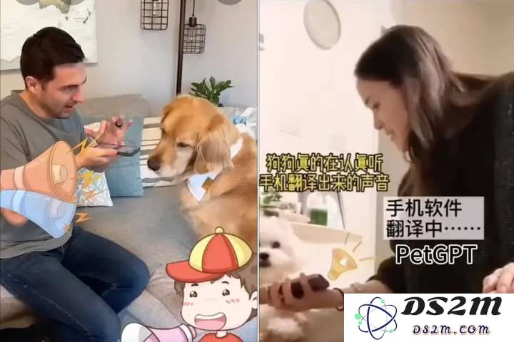 全球首个宠物翻译器，上线爆火