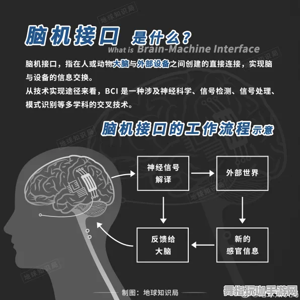 区块链游戏-全攻略-脑机接口专用版-实时更新-0428