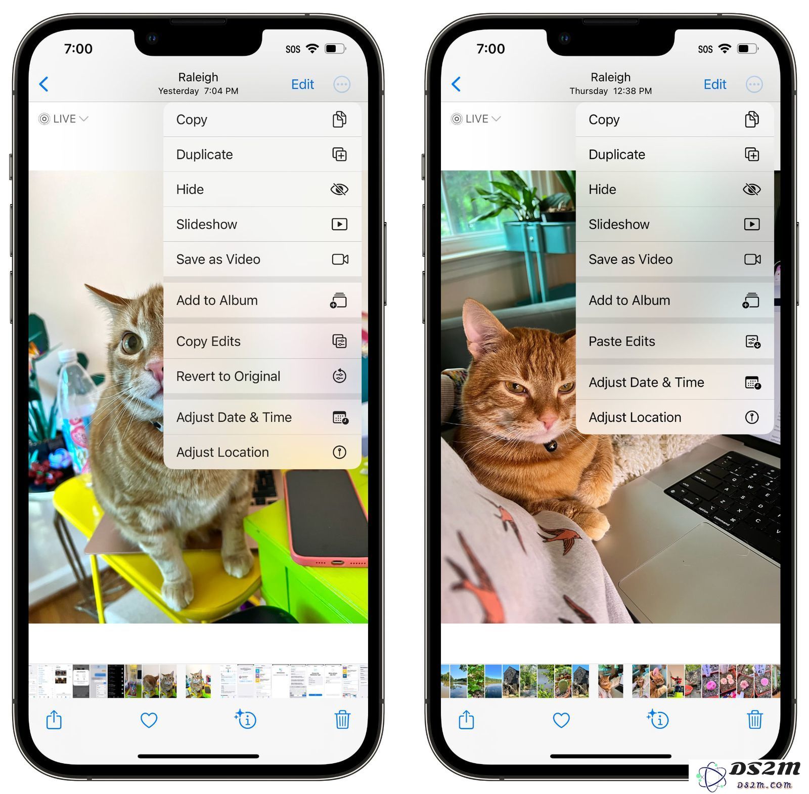 如何在iOS 16照片应用中便捷复制和粘贴编辑后的内容以提高工作效率