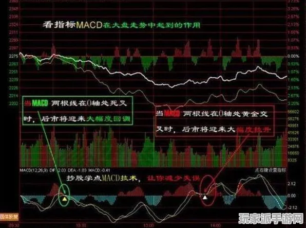 ｜最新攻略，0 首曝｜新手必看 实测｜v0425｜攻略