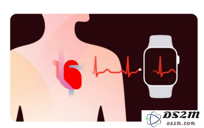 如何开启国行版 Apple Watch 的心电图监测功能？详细教程分享与使用说明